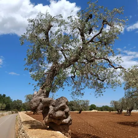 Апартаменты Wal49